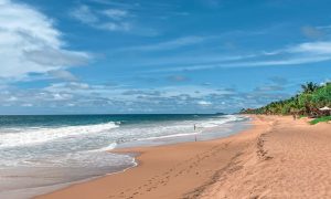 Road-trip en tuktuk au Sri Lanka