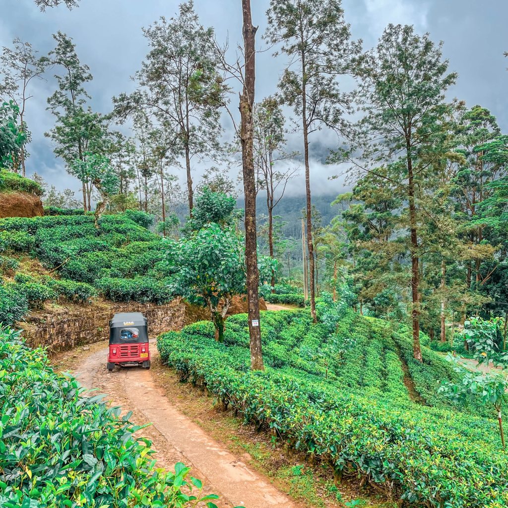 Tuktuk sri lanka conduite