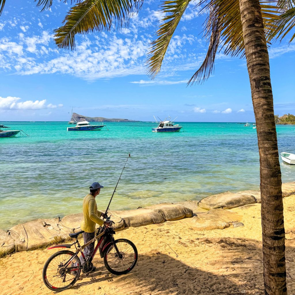 Bain Boeuf île Maurice plage